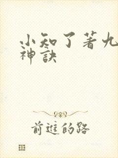 小知了著九天斩神诀