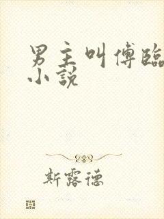 男主叫傅临川的小说