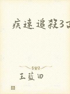 疾速追杀3高清封面