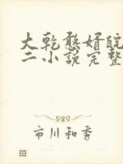 大乾憨婿皖南牛二小说完整版