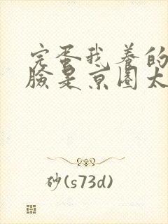 完蛋我养的小白脸是京圈太子爷