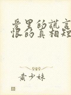 爱里的谎言,仇恨的真相短剧全集