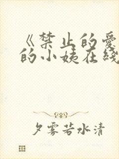 《禁止的爱善良的小姨在线观看