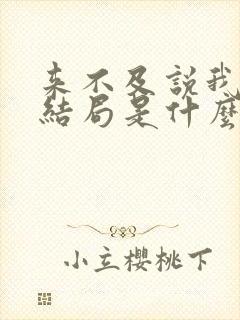 来不及说我爱你结局是什么