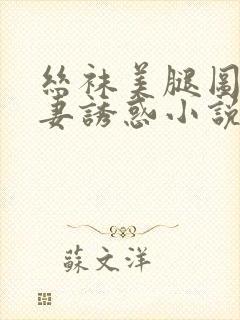 丝袜美腿图片人妻诱惑小说封面