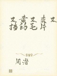 又黄又爽又无遮挡的毛片