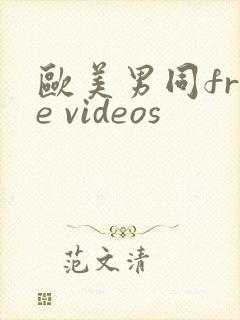 欧美男同free videos