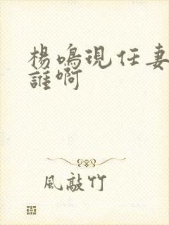 杨鸣现任妻子是谁啊