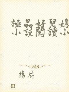 极品好儿媳秦雨小说阅读小说全文封面