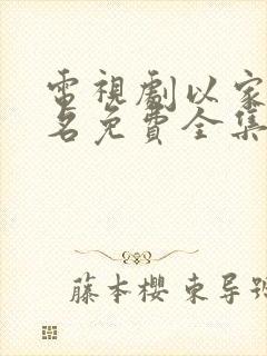 电视剧以家人之名免费全集