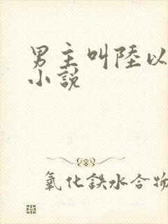 男主叫陆以琛的小说封面