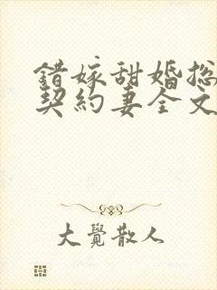 错嫁甜婚总裁的契约妻全文