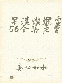 星汉灿烂电视剧56全集免费观看封面