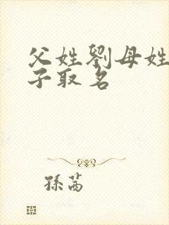 父姓刘母姓梁孩子取名封面