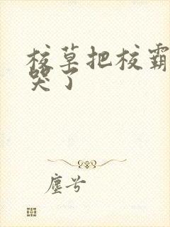 校草把校霸欺负哭了封面