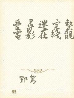 爱寻迷完整版 电影在线观看