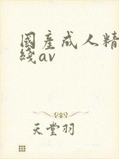 国产成人精品在线av