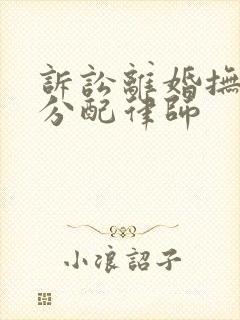 诉讼离婚抚养权分配律师封面