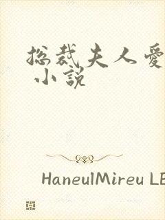 总裁夫人爱上我 小说