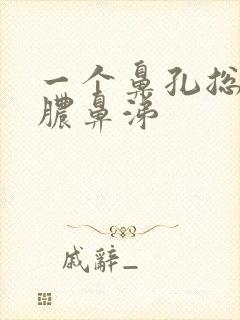 一个鼻孔总流黄脓鼻涕