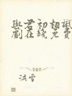 与君初相识电视剧在线免费观看全集封面