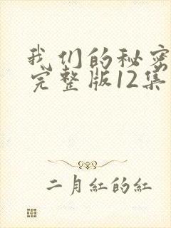 我们的秘密泰剧完整版12集