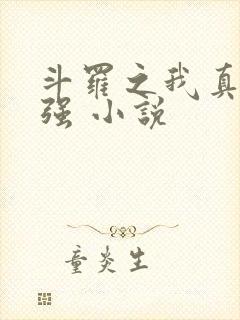 斗罗之我真的不强 小说封面