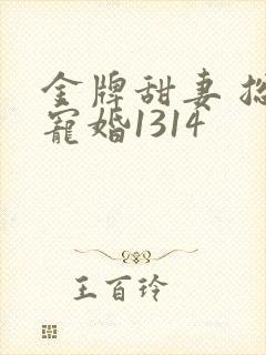 金牌甜妻 总裁宠婚1314