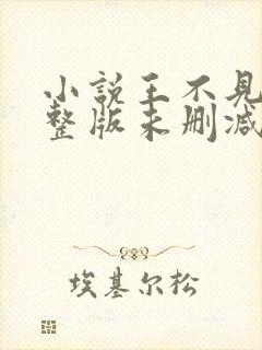 小说王不见王完整版未删减小说