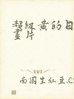 超级黄的日本动画片