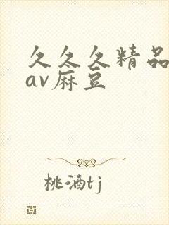 久久久精品国产av麻豆