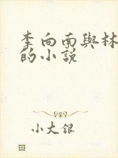 李向南与林楚乔的小说封面