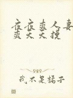 夜夜爽人妻夜夜爽天天摸封面