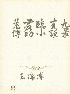 叶君临有九个师傅的小说最新章节