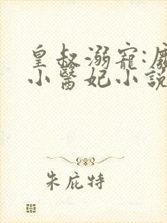 皇叔溺宠:废材小医妃小说