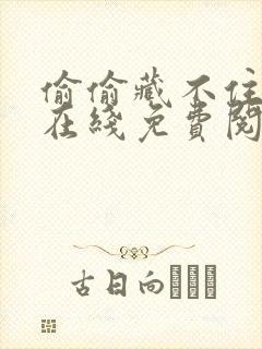 偷偷藏不住小说在线免费阅读完整版封面