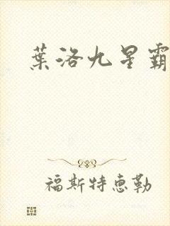 叶洛九星霸体诀