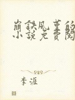 崩铁风堇的堕落小说免费阅读最新章封面