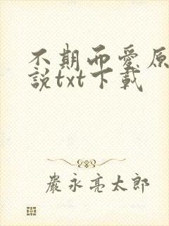 不期而爱原著小说txt下载