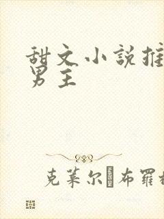 甜文小说推荐双男主