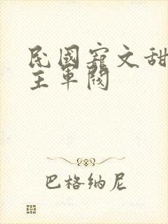 民国宠文甜文男主军阀