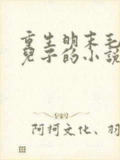 重生明末毛文龙儿子的小说