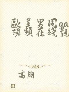 欧美男同gay视频在线观看