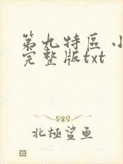 第九特区 小说完整版txt