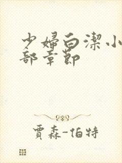 少妇白洁小说全部章节封面