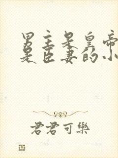 男主是皇帝女主是臣妻的小说封面