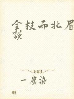 金枝面北眉南小说