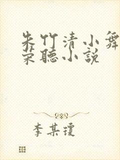 朱竹清小舞宁荣荣听小说
