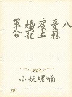 军婚蜜爱八零老公宠上瘾