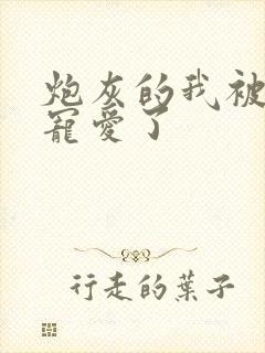 炮灰的我被王子宠爱了封面